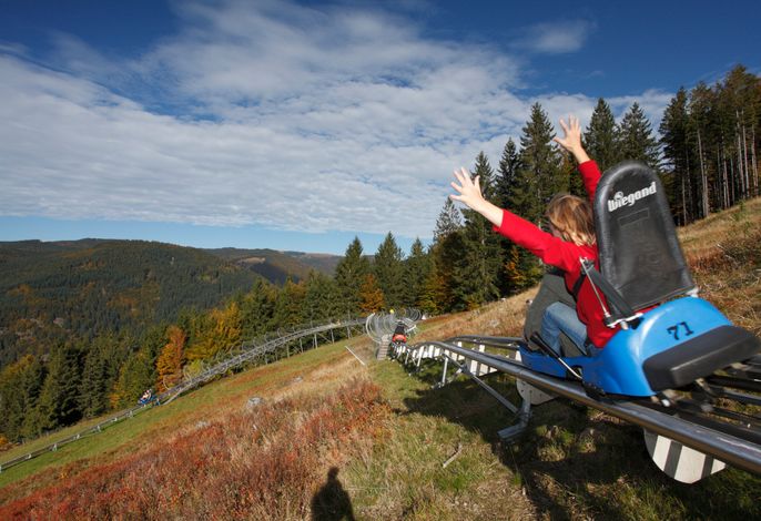 Bild 19