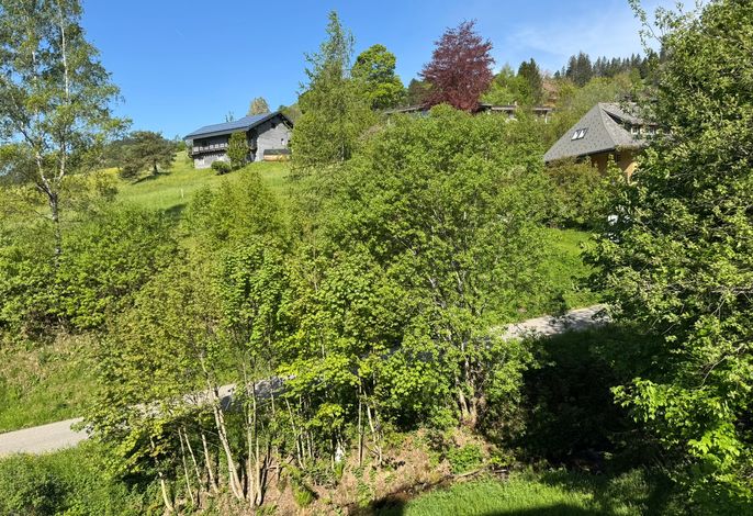 Bild 14