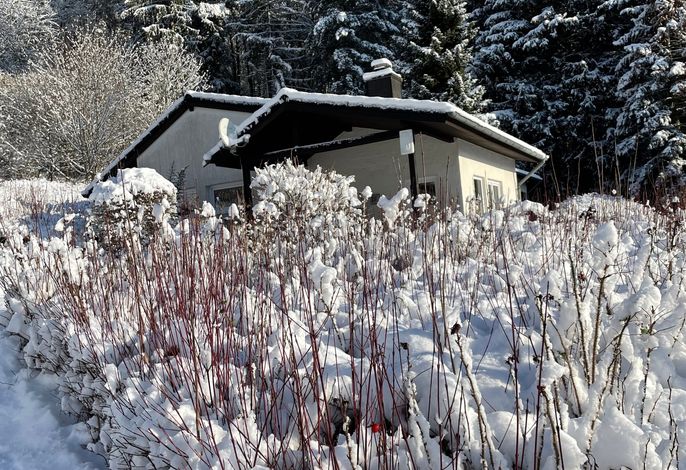 Bild 19