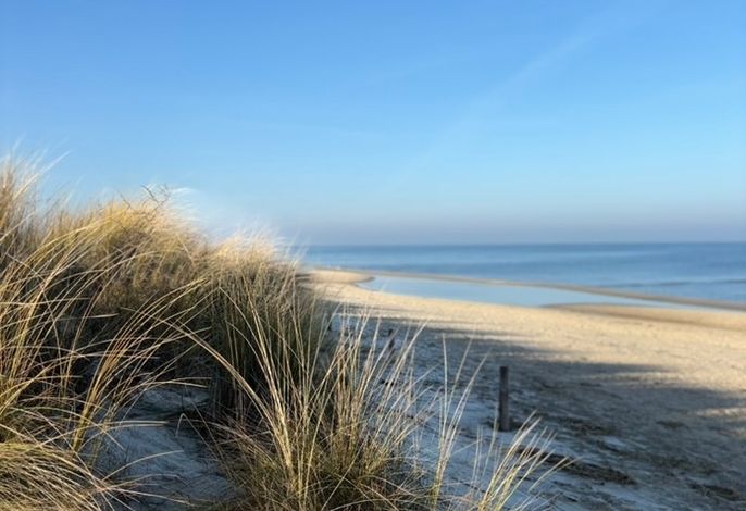 Bild 19