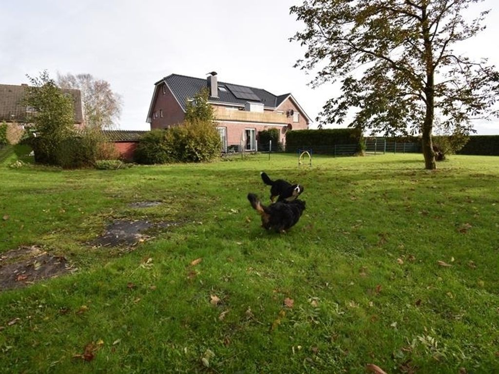 Ferienwohnung Border Collie
