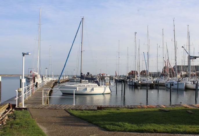 Bild 16