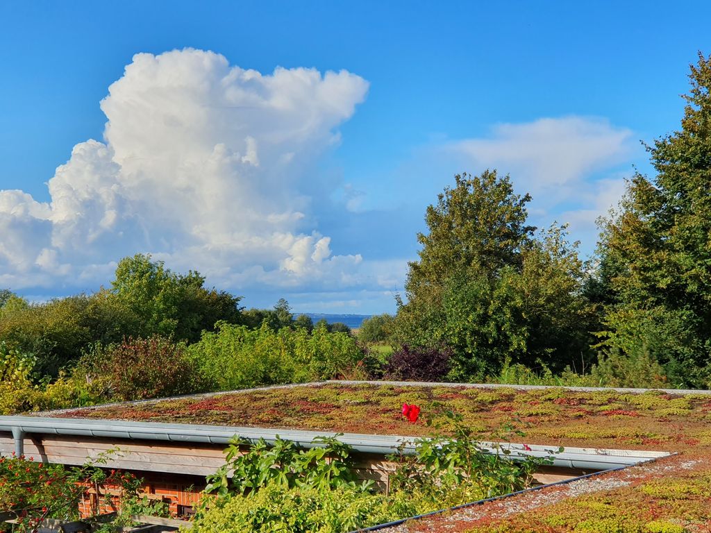Ferienwohnung Hafenblick Ferienhof Geltinger Bucht