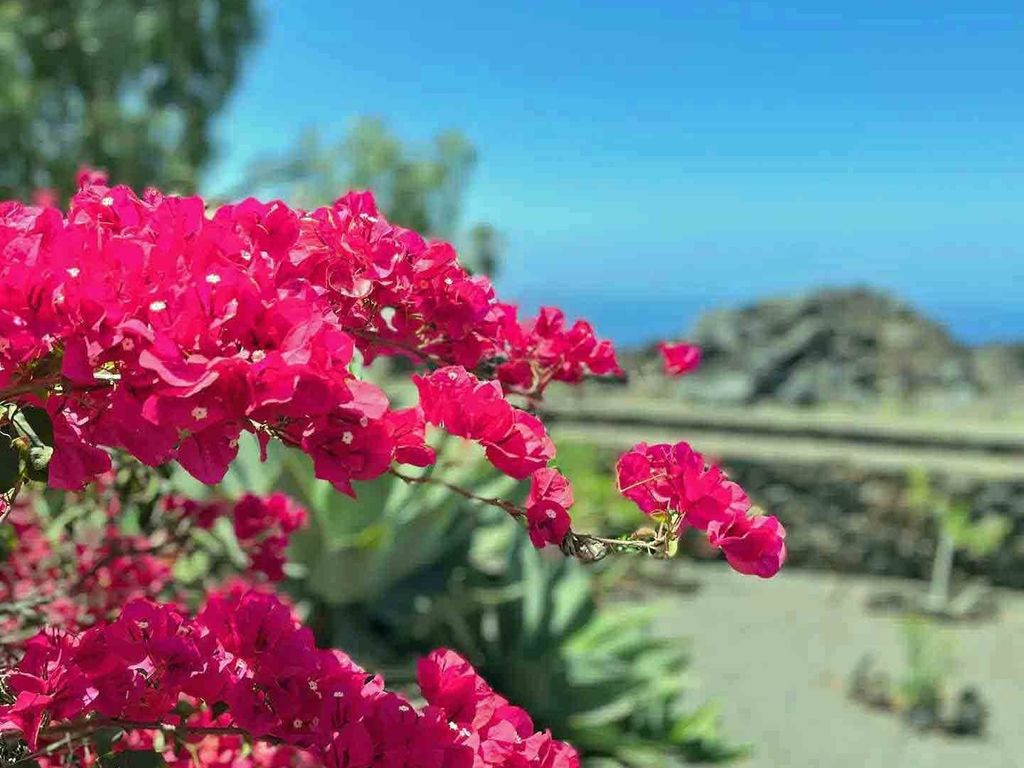 Casa Caro