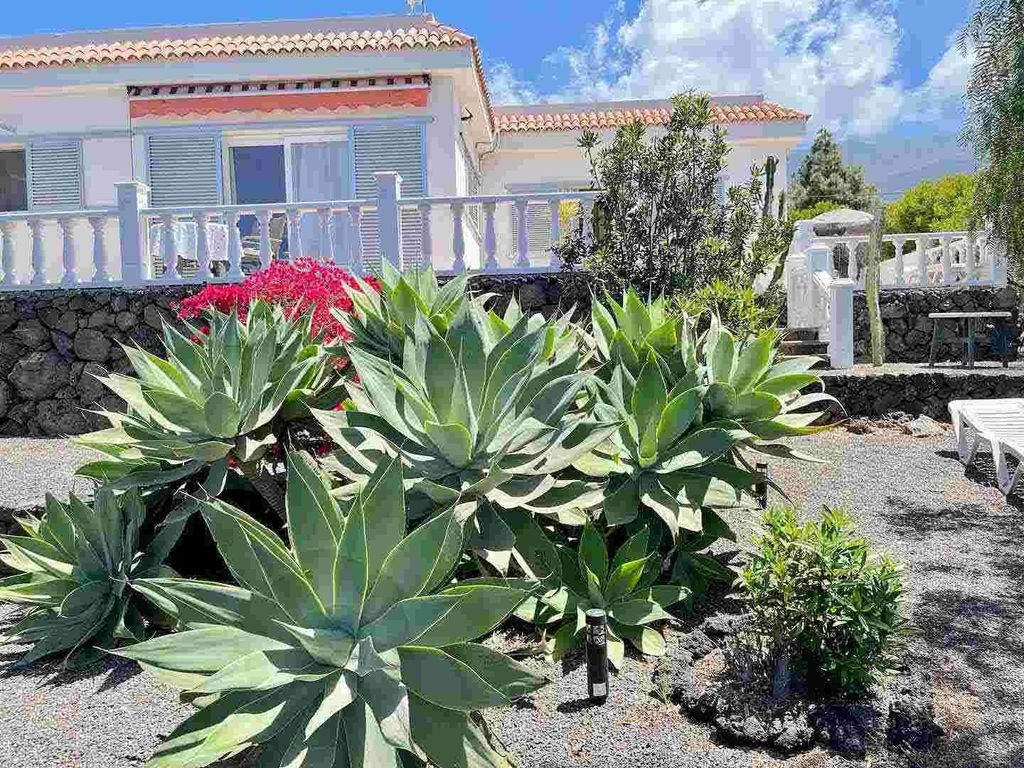 Casa Caro