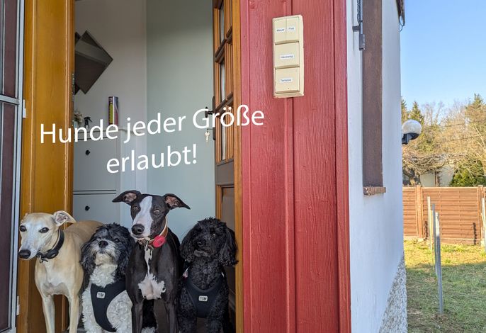 Bild 17