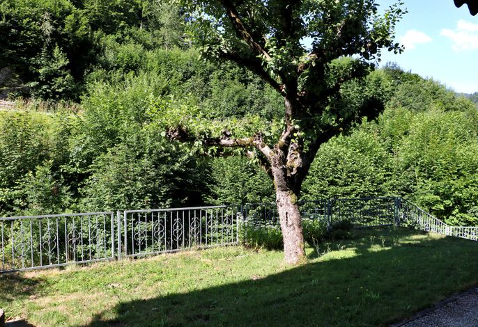 Bild 17