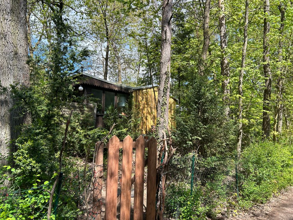Bungalow im Wald am See - Biberspur