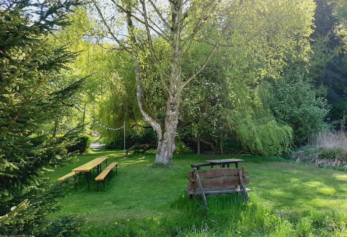 Bild 15