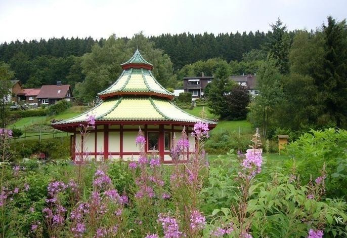 Bild 11