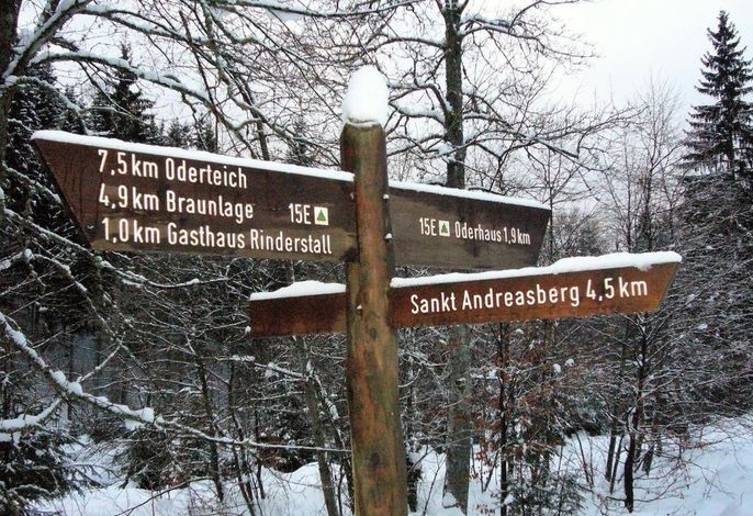 Bild 34