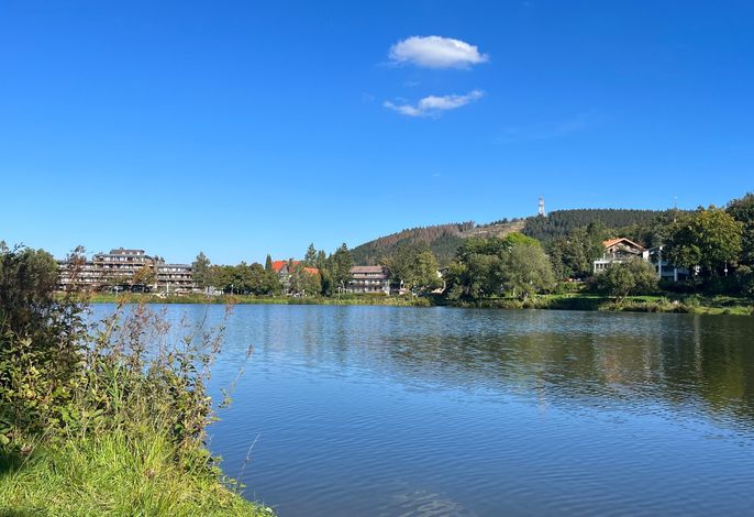 Bild 19