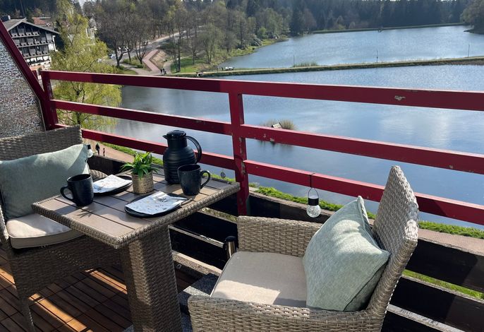 Ferienwohnung Panoramablick Hahnenklee