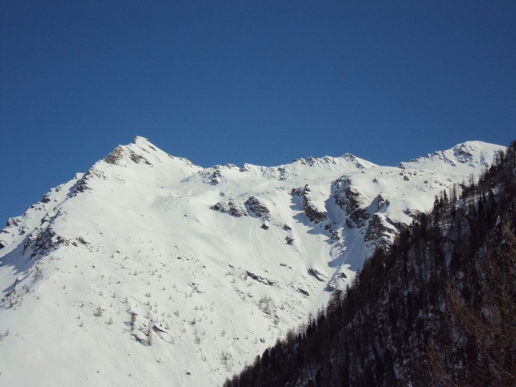Almwiesenhütte