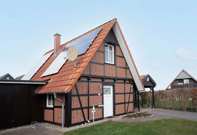 Bild 41