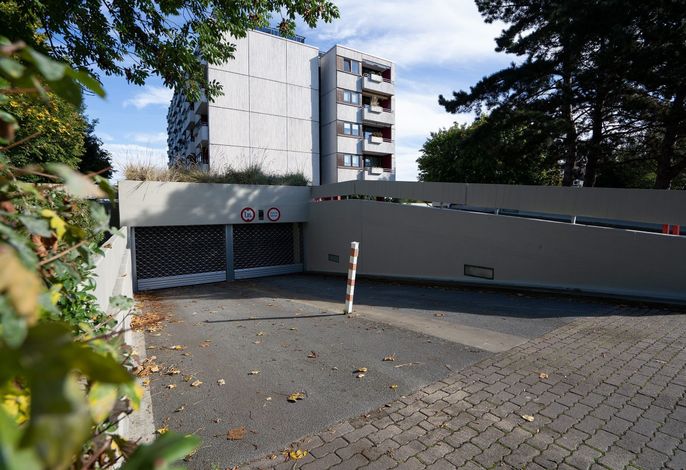 Bild 19
