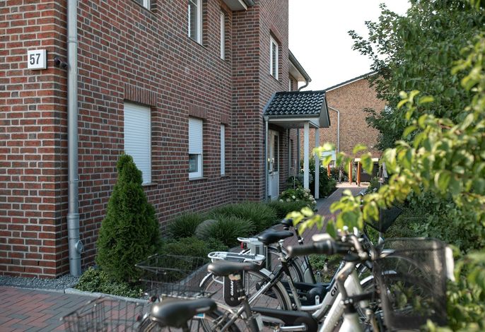 Bild 36