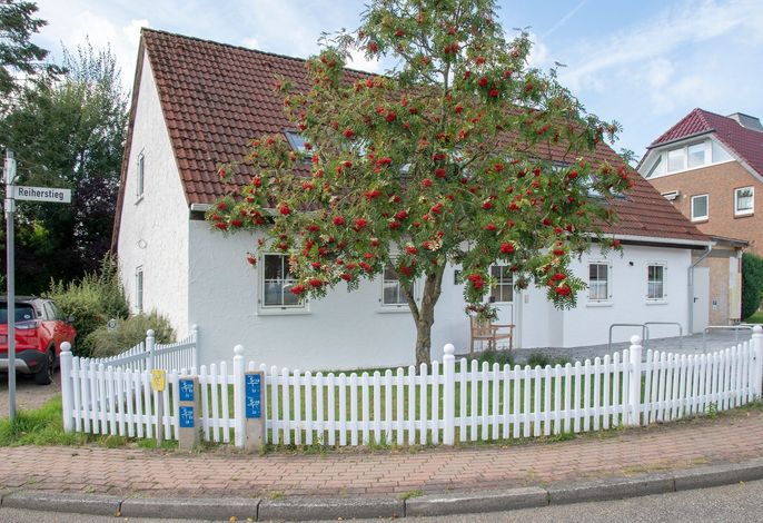Bild 36