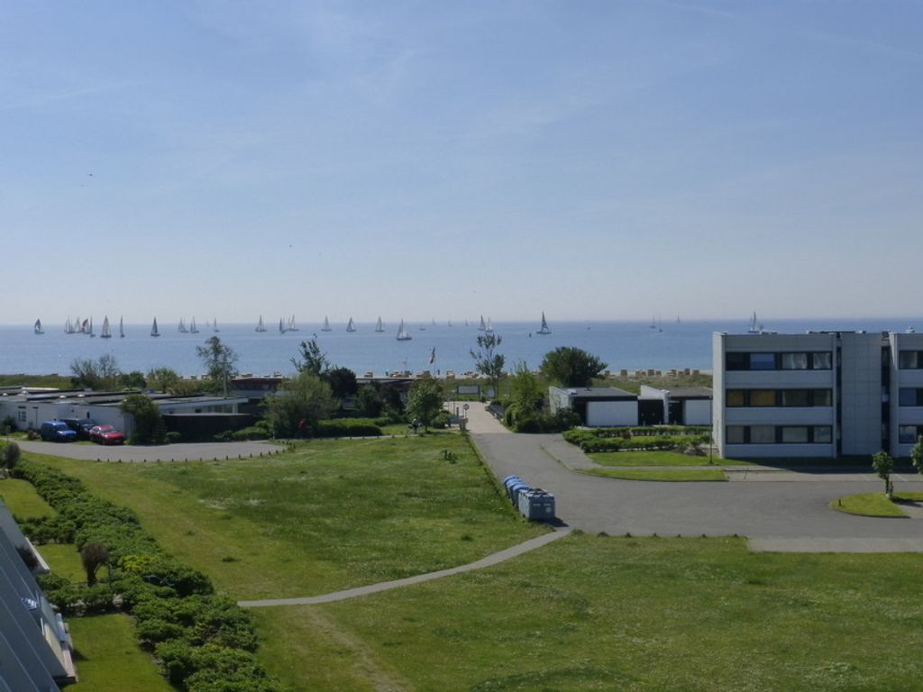 Koralle