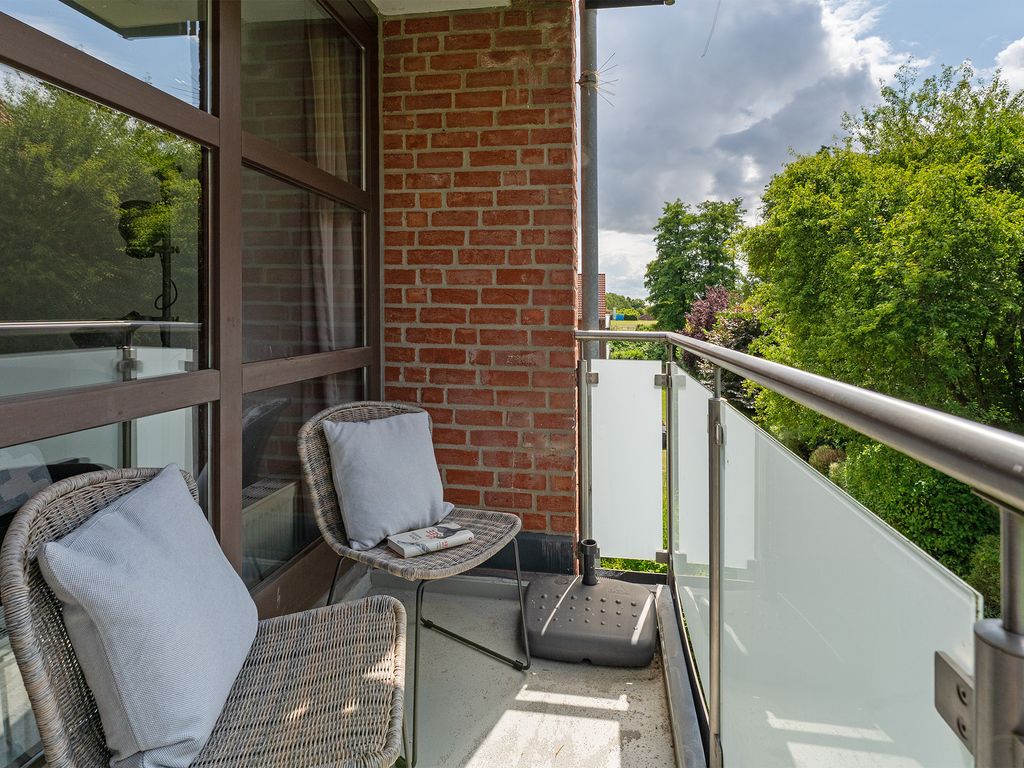 Zuckersnuut