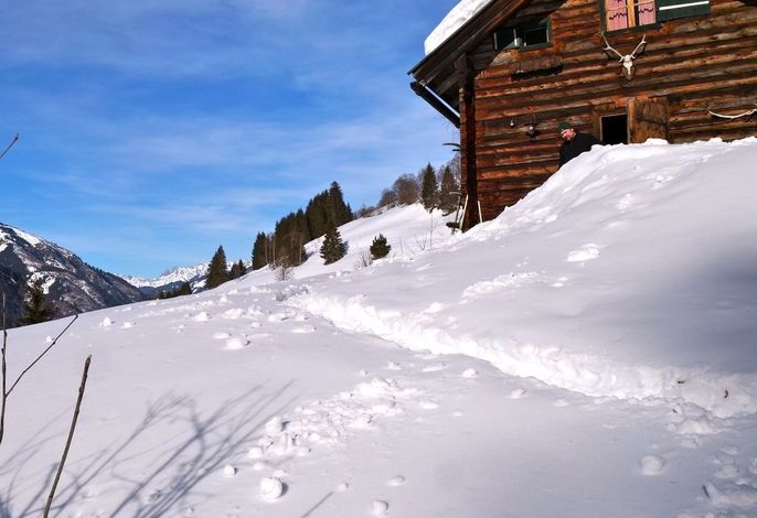 Bild 4