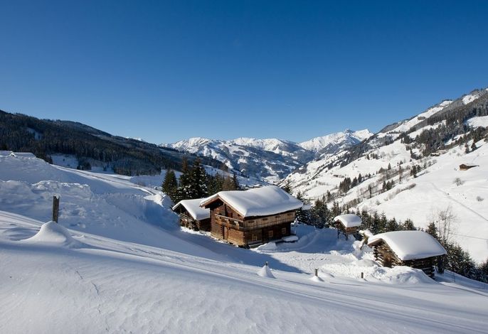 Bild 7