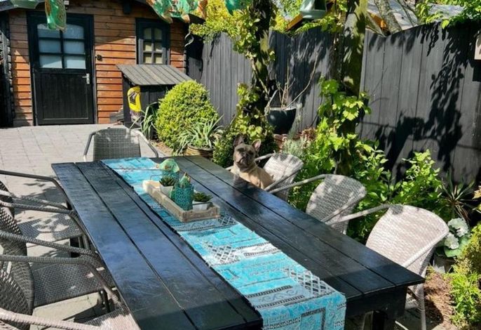 Lichtdurchflutetes Traumhaus NR. 143 mit Wintergarten, strandnah uneinsehbarer Garten hundefreundlich