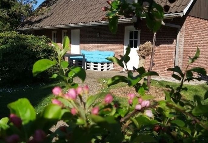 Hauptbild