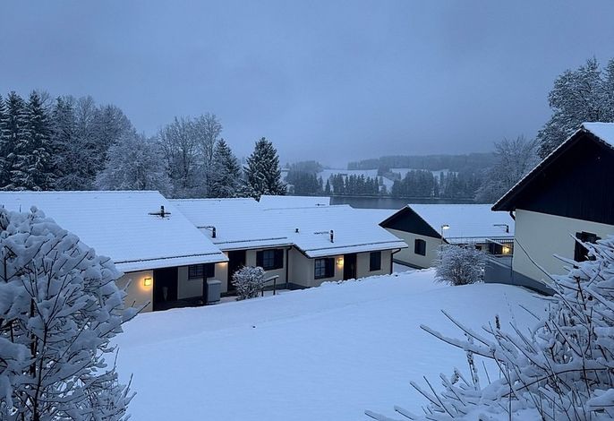 Bild 15