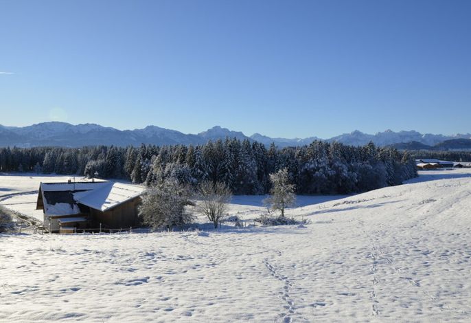 Bild 36