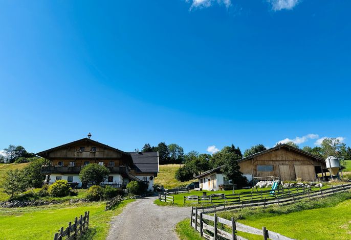 Bild 15