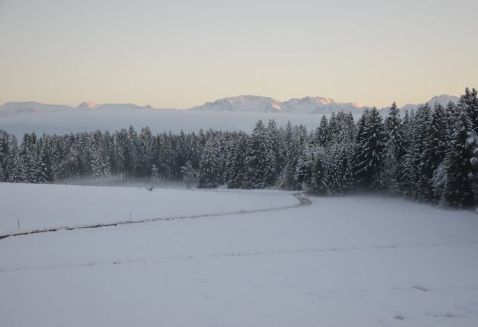Bild 34