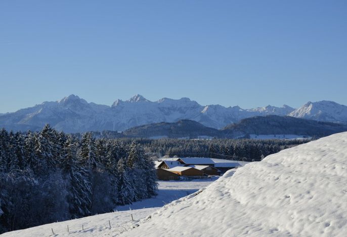 Bild 32