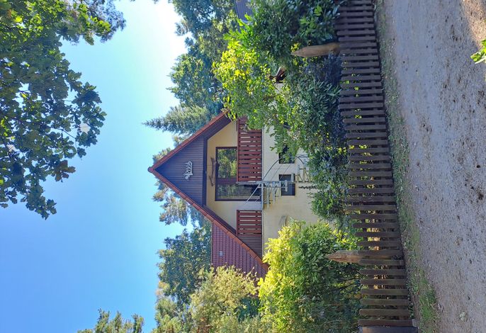Bild 40