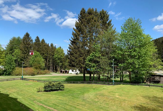 Bild 12