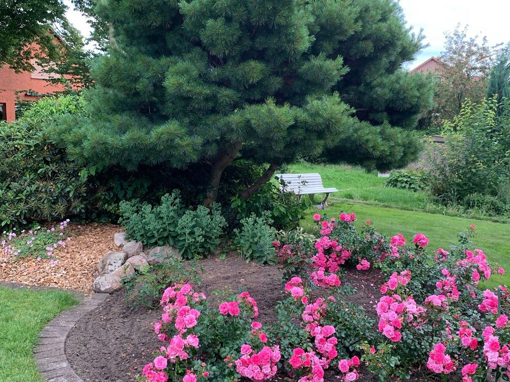 Gartenidylle