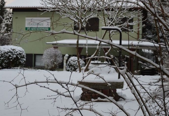 Bild 15