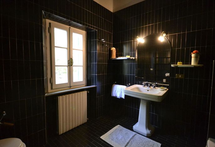 Bild 19