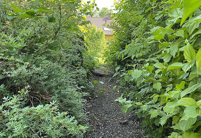 Bild 16