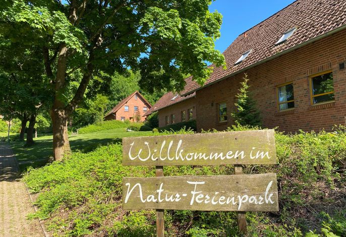 Bild 20