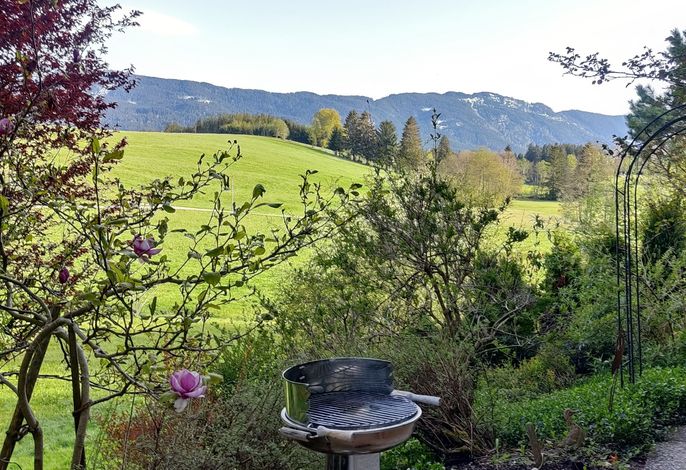 Bild 22
