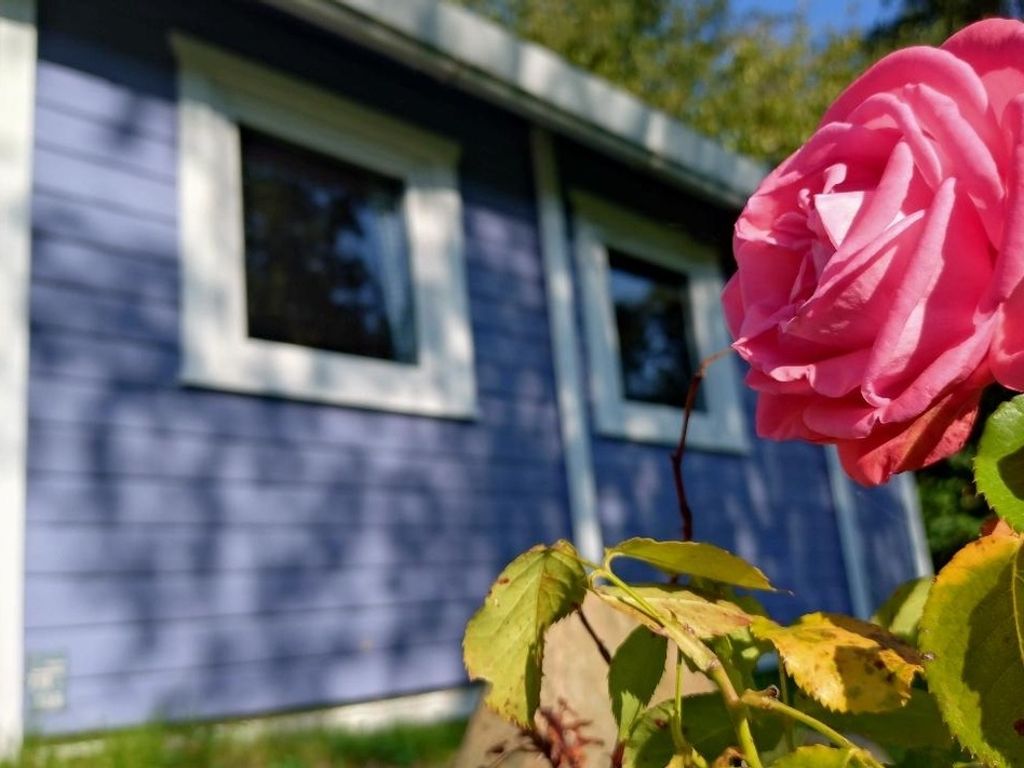 dieSeeSucht® - Lodge am Fjord