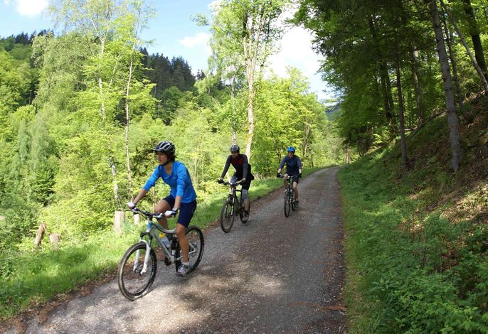 Bild 28