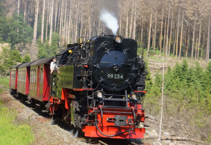 Bild 16