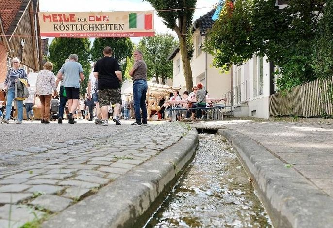 Bild 20
