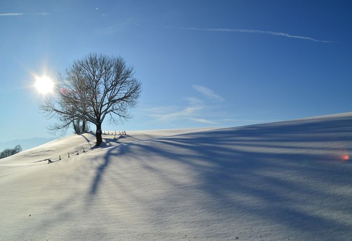 Bild 33