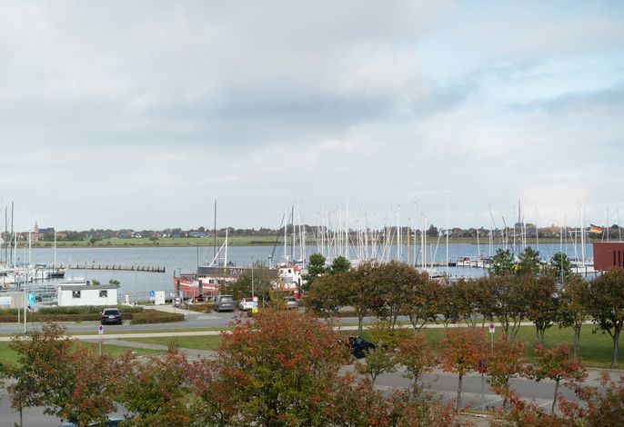 Bild 10