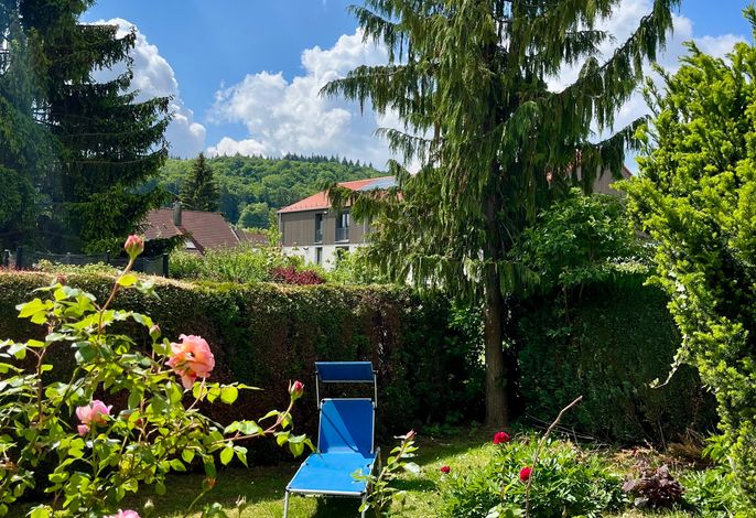 Bild 12