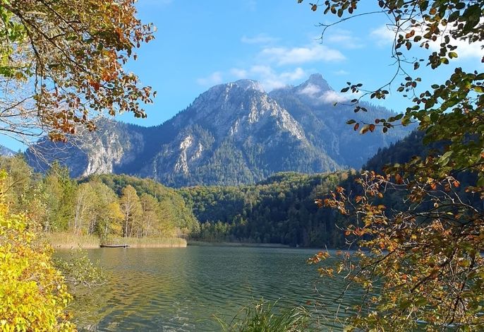 Bild 14