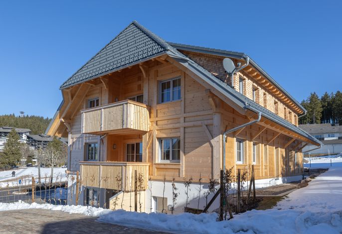 Bild 15